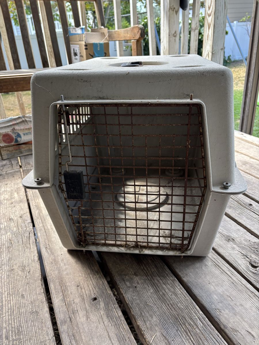 Plastic Pet Carrier - medium size Dog/Cat Travel Kennel Crate