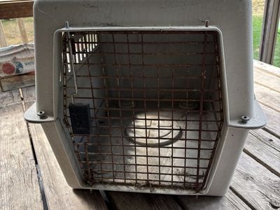 Plastic Pet Carrier - medium size Dog/Cat Travel Kennel Crate