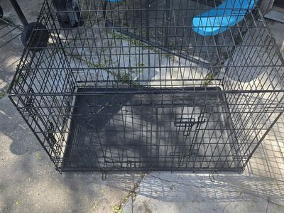 medium dog kennel
