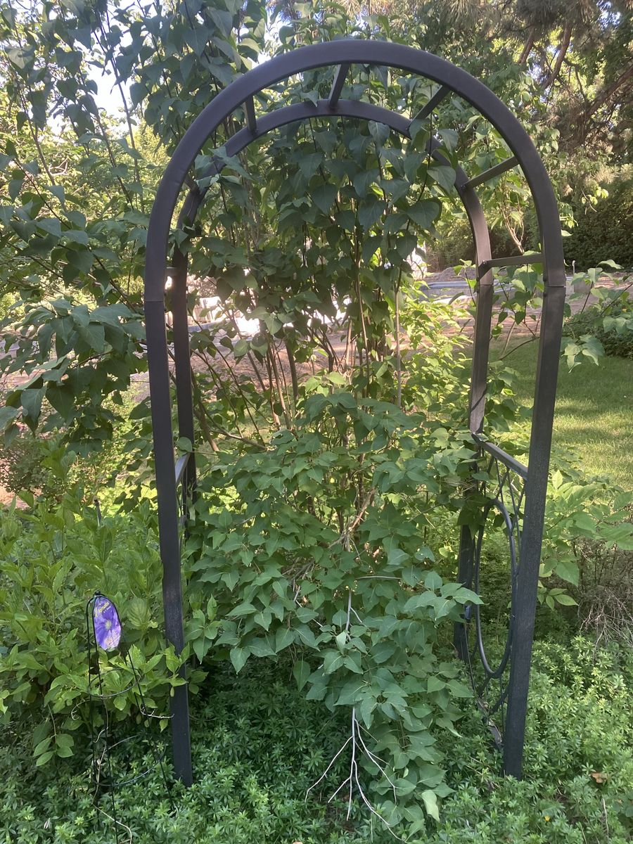 Metal Garden Arch Trellis for Climbing Plants - Durable Outdoor Structure