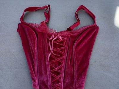 Victoria's Secret corset bra