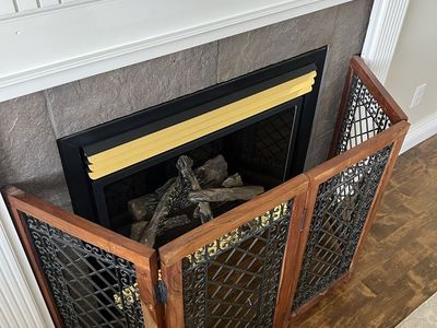 Fireplace gate
