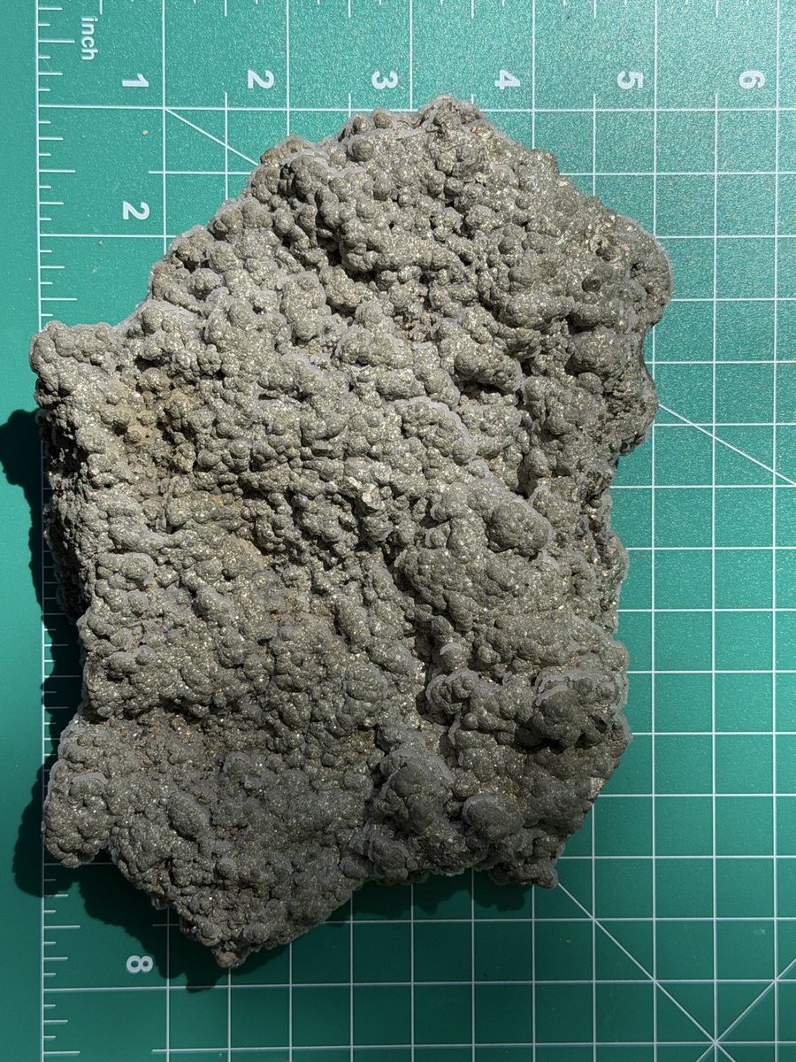 Main image 4