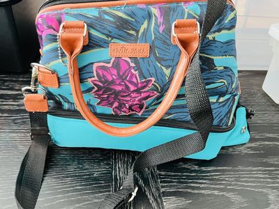 Arctic zone lunch bag.