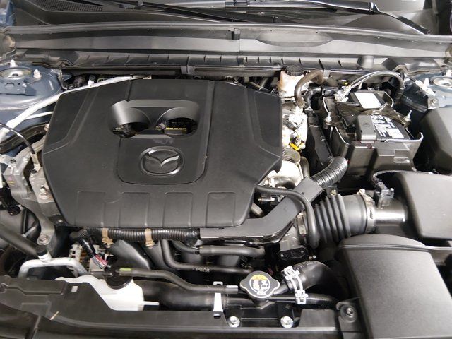 Main image 9
