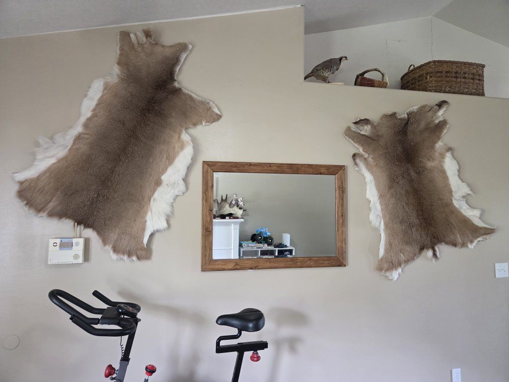 Wall Hanging Deer Hides