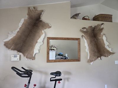 Wall Hanging Deer Hides