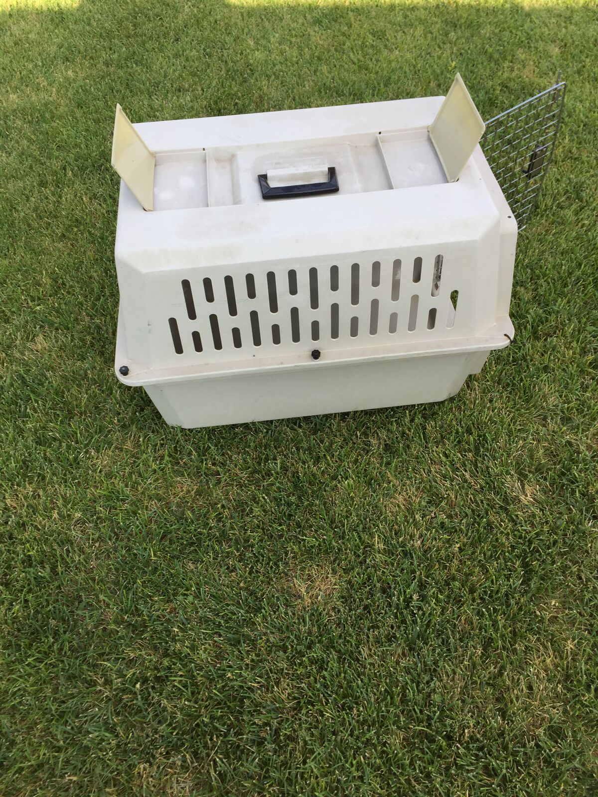 Small pet carrier