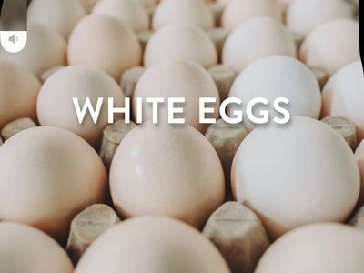 Organic White chicken Eggs For Sale
