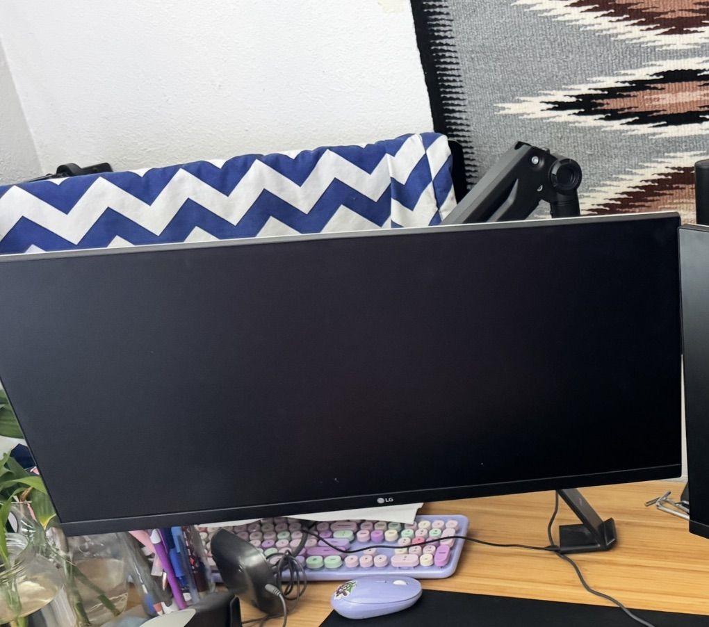 LG 29 UltraWide IPS Monitor