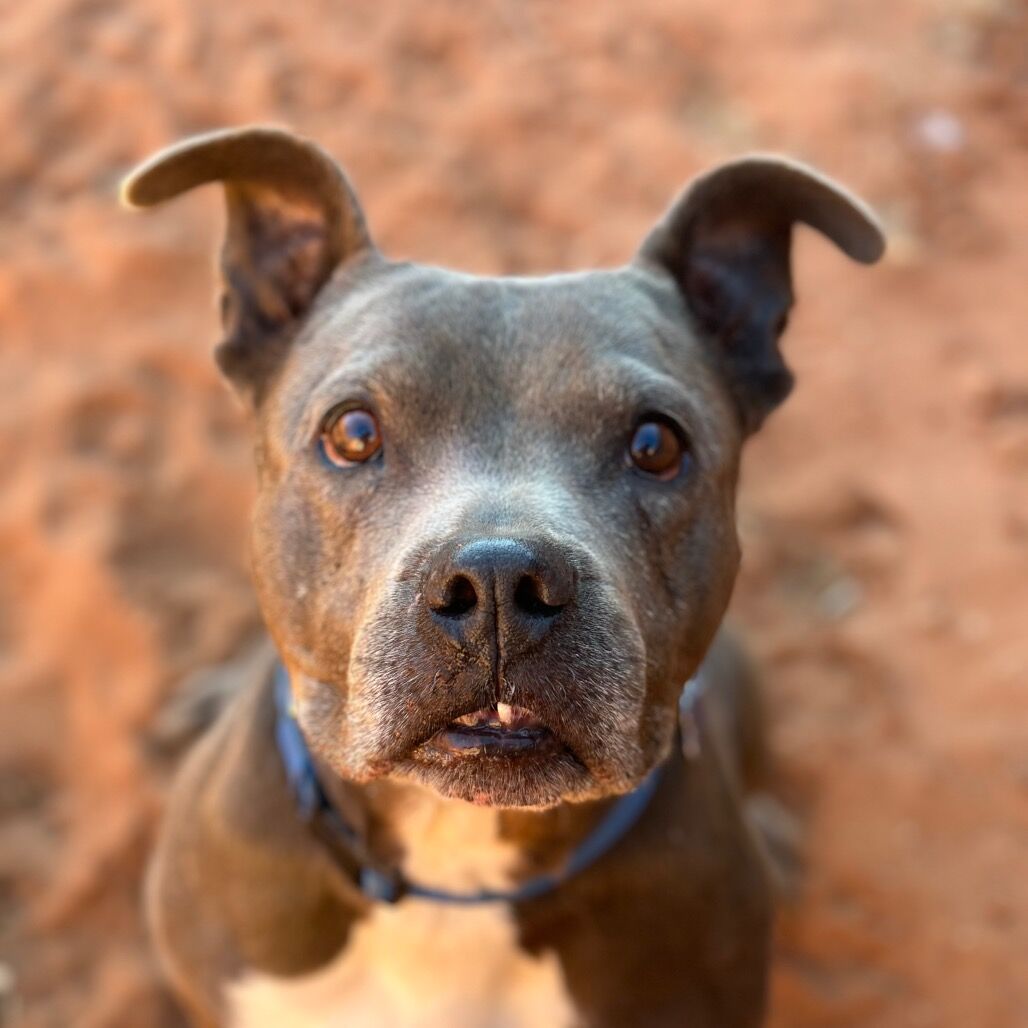 Hello my name is Pearl