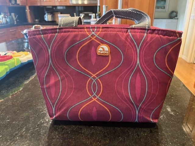 Igloo Insulated Lunch Bag Tote