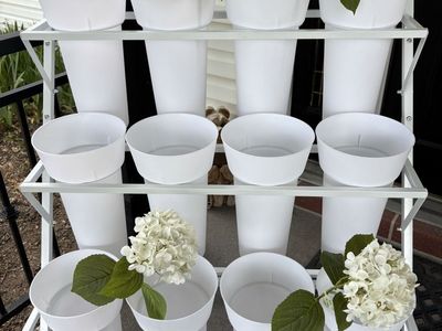 Mollie's Flower Cart Rental