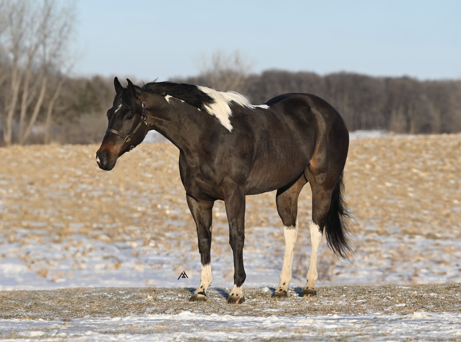 "𝗨 𝗖𝗿𝗮𝗰𝗸 𝗠𝗲 𝗨𝗽" - 𝗛𝗨𝗚𝗘 𝗧𝗼𝗯𝗶𝗮𝗻𝗼 𝗥𝗔𝗖𝗘𝗕𝗥𝗘𝗗 𝗚𝗲𝗹𝗱𝗶𝗻𝗴!