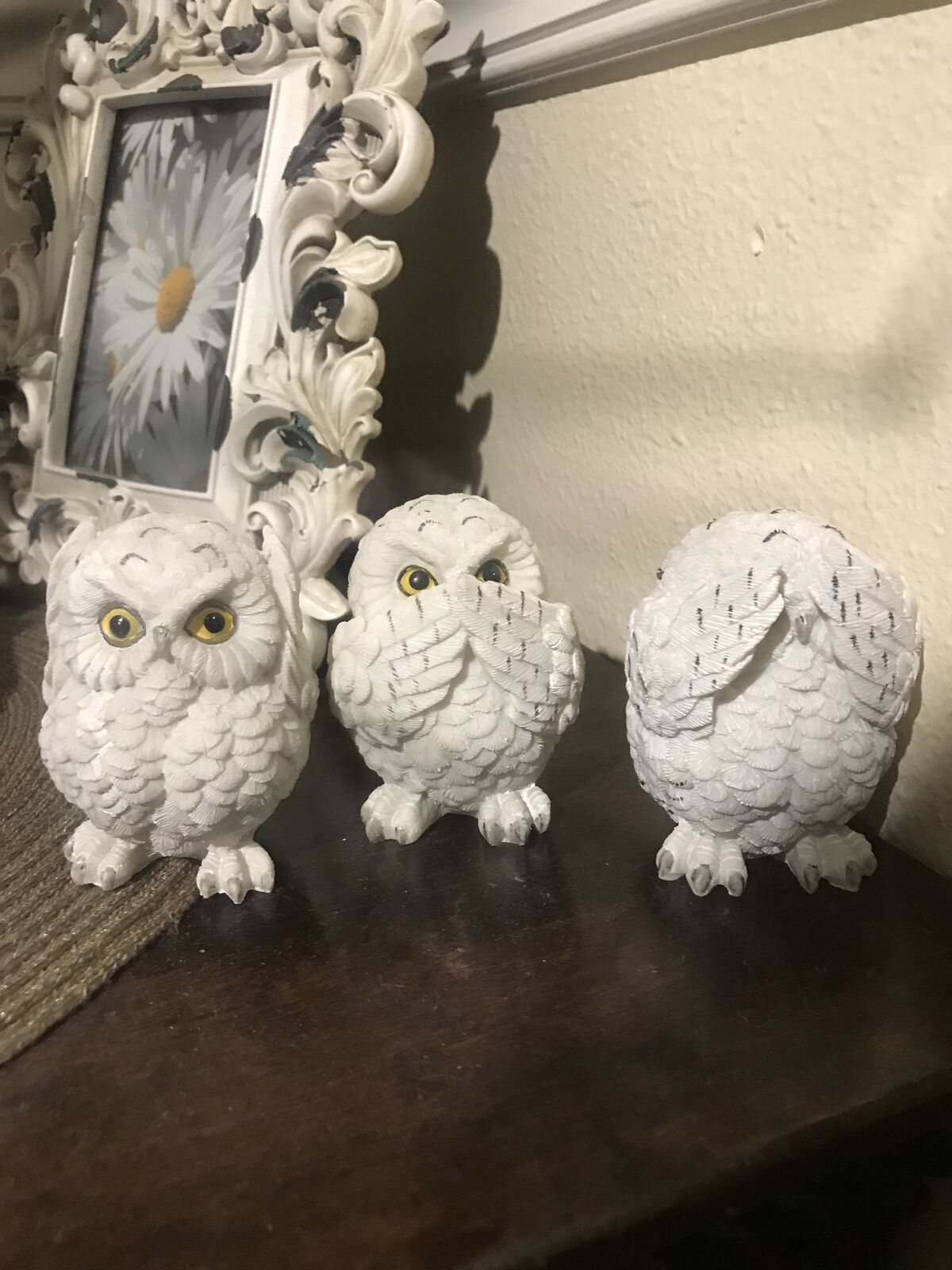 Owl set for sale
