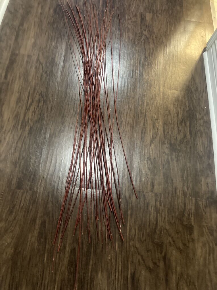 Decorative Dried Red Stems Very Tall About 50''