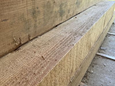Douglas fir 8 x 8 beams