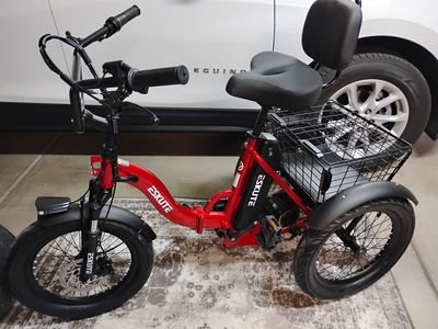 ESKUTE T300 Folding Trike Ebike