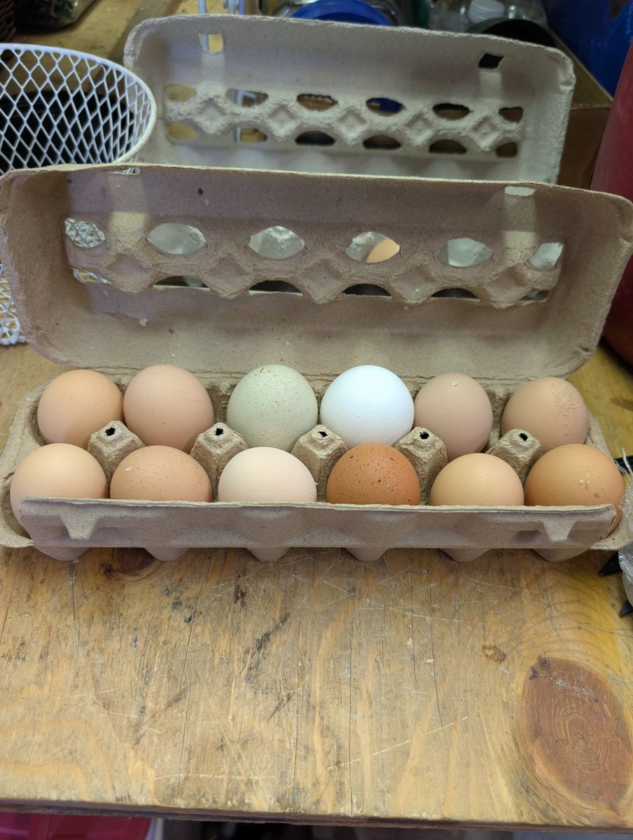 Farm Fresh Eggs