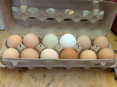 Farm Fresh Eggs