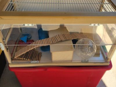 Wooden Small Animal Hamster Habitat Cage with Accessories