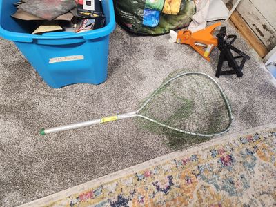Large long handled fishing net. No holes. Works great. Perfect shape.