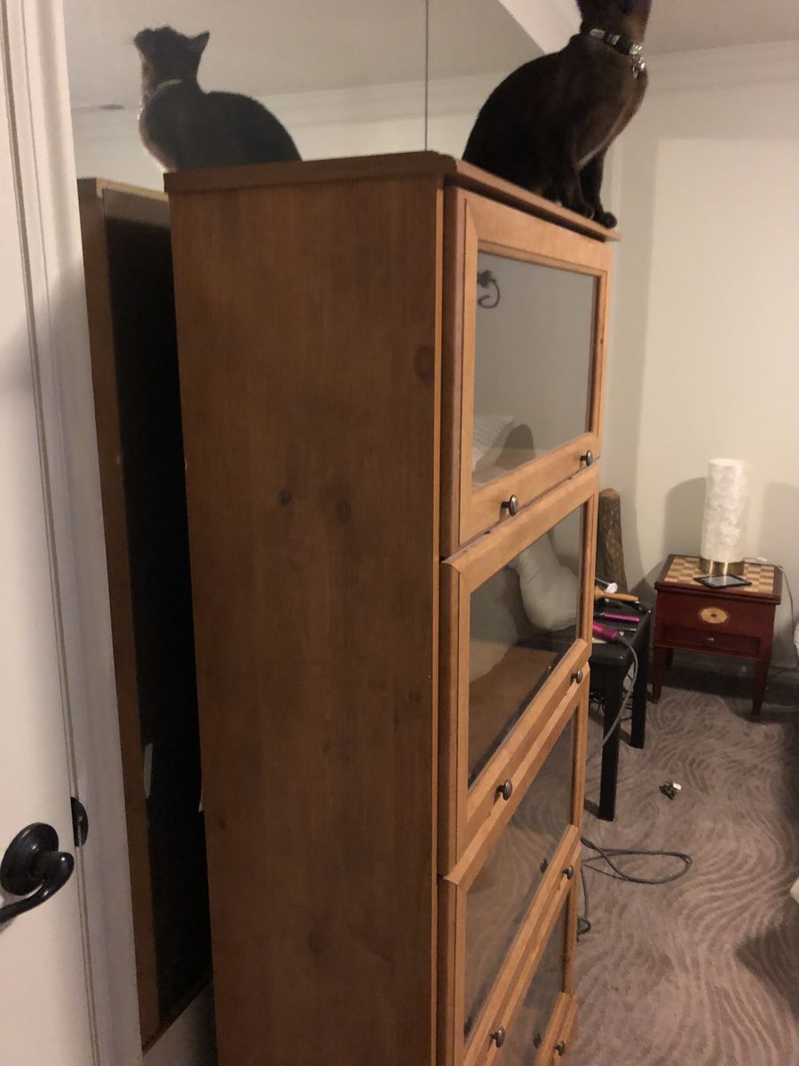 Glass bookcase