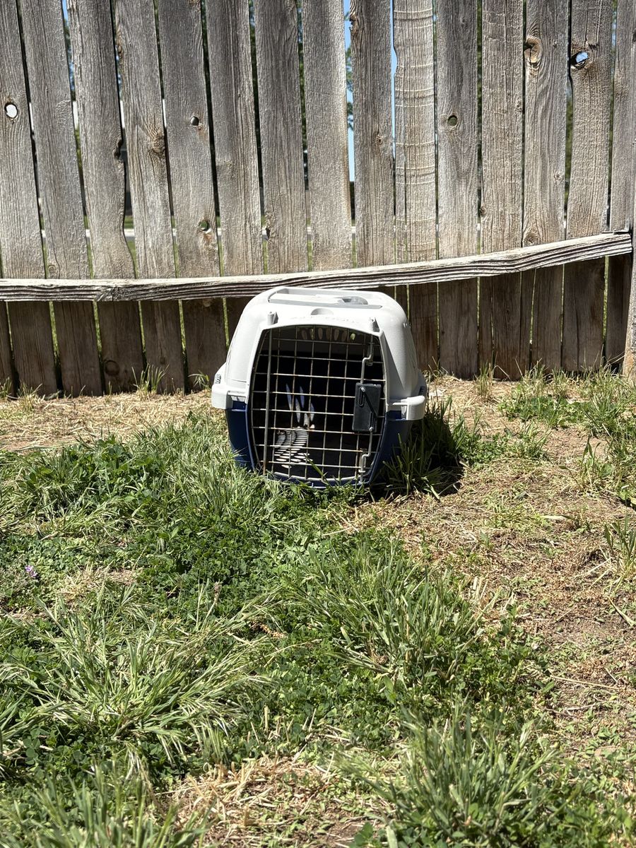 Small Crate