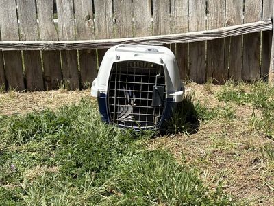 Small Crate