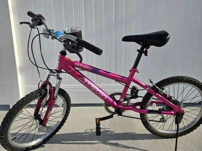 Magna Great Divide Kids' Mountain Bike, Pink, 20-inch Wheels, Single Speed
