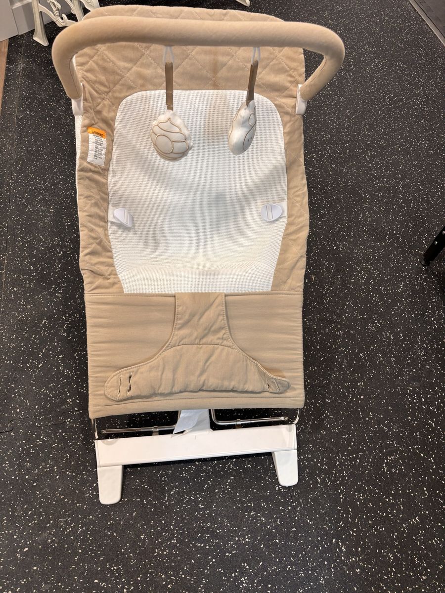 Baby Bouncer