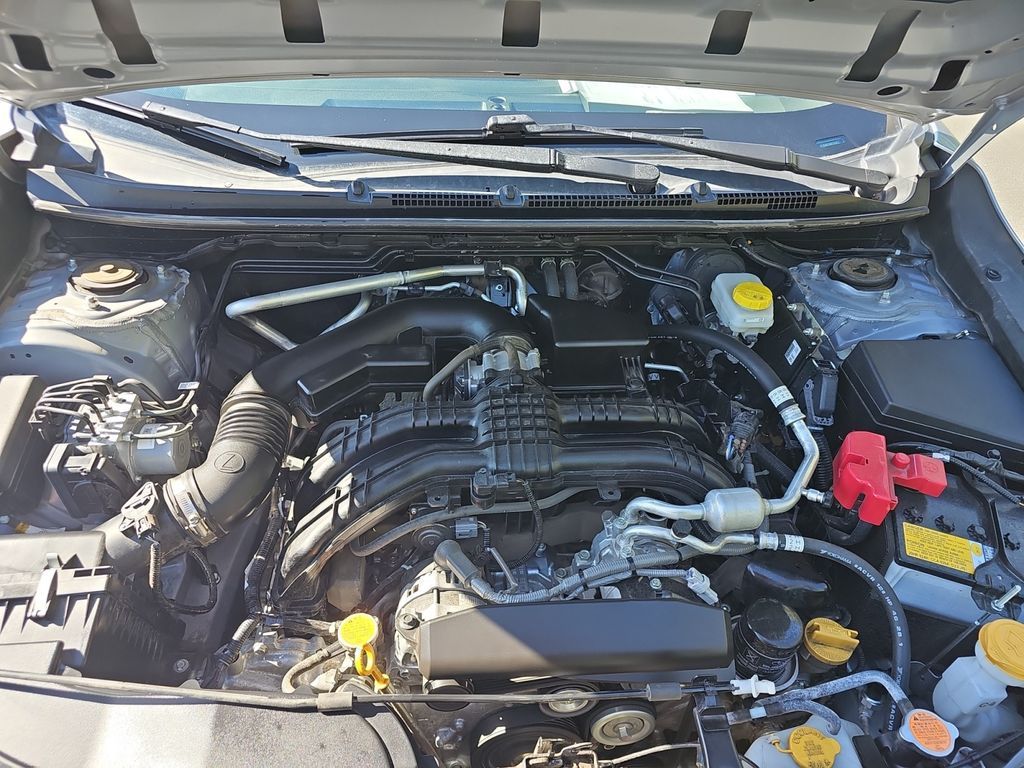 Main image 20