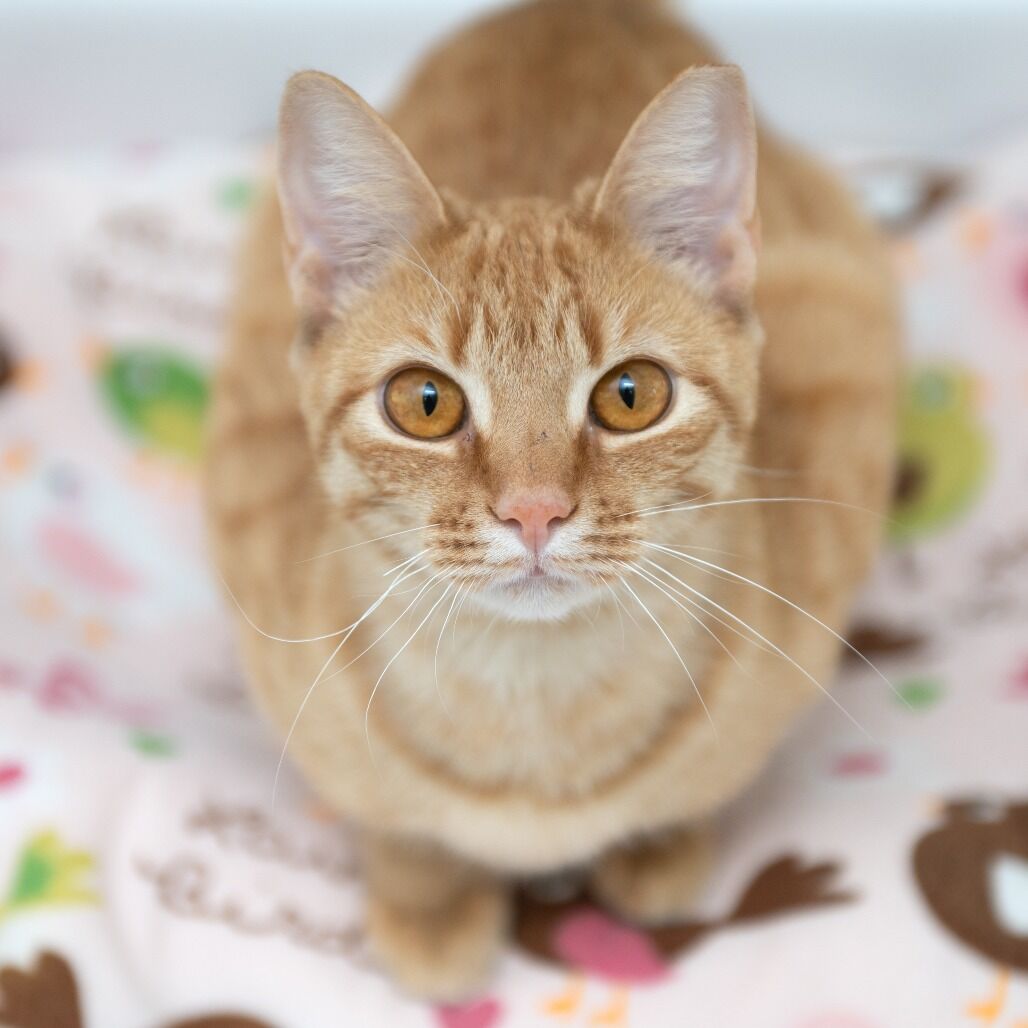 Hello my name is Emery