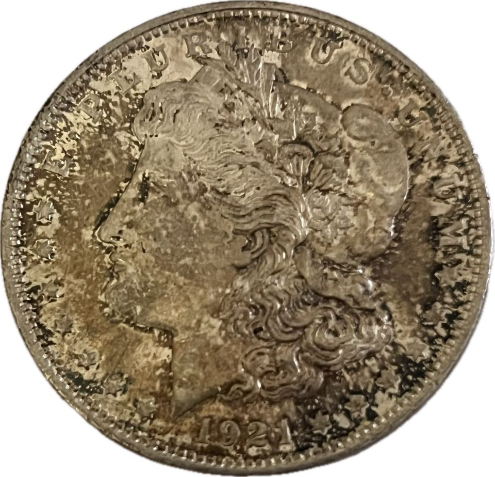 Main image 5
