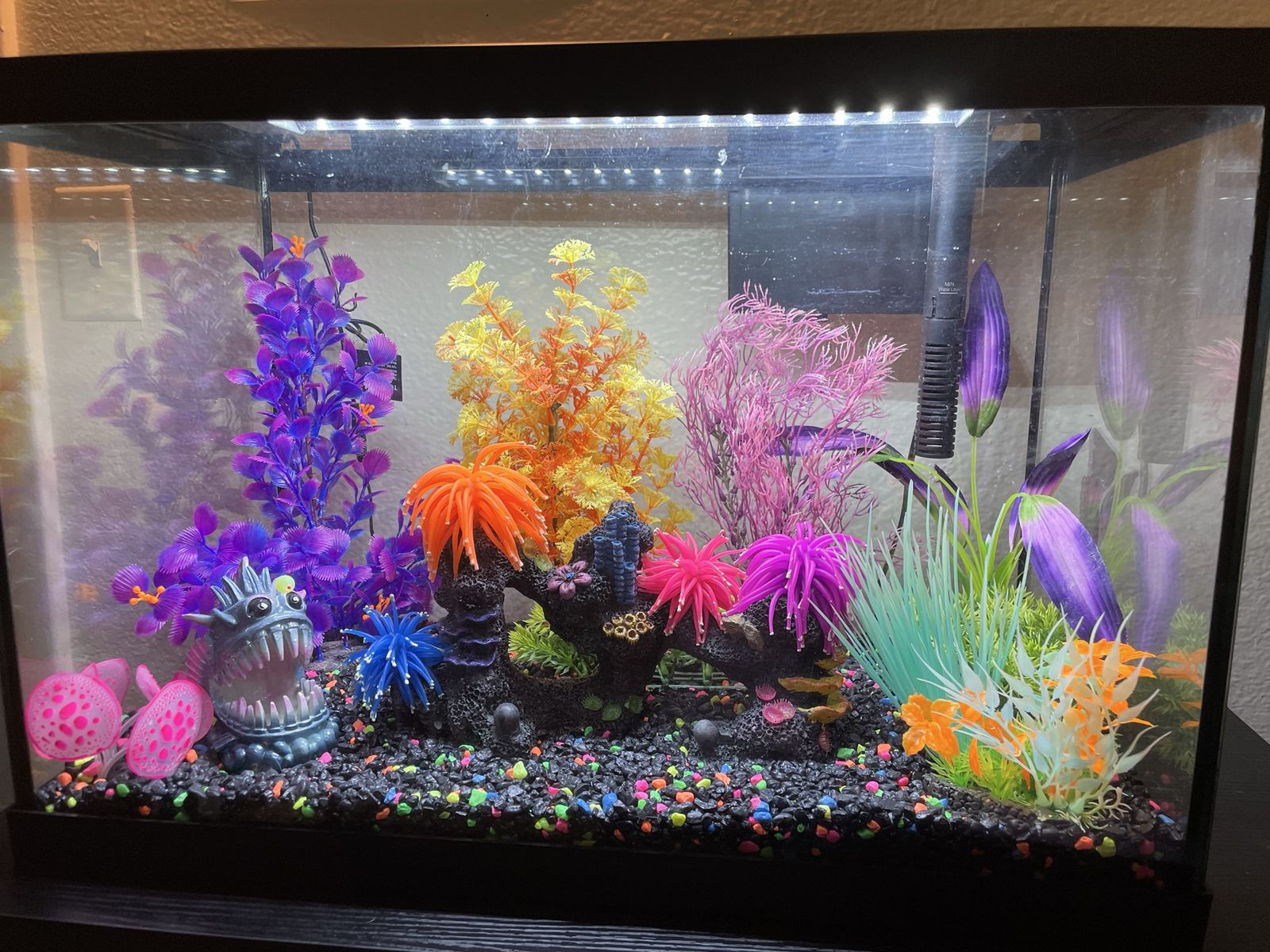 Fish Tanks & Accesories