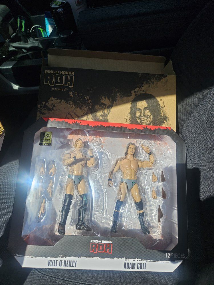 ROH Jazwares Adam Cole & Kyle O'Reilly Action Figures - Ring of Honor Wrestling 12-Piece Set