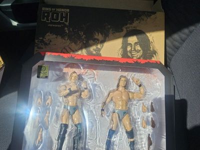ROH Jazwares Adam Cole & Kyle O'Reilly Action Figures - Ring of Honor Wrestling 12-Piece Set