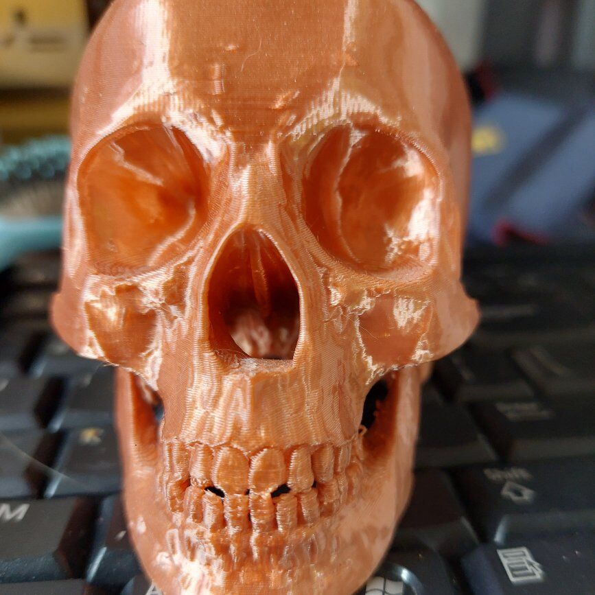 3d printed skull