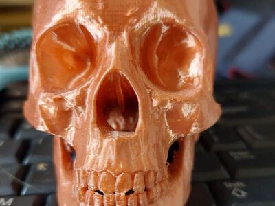 3d printed skull