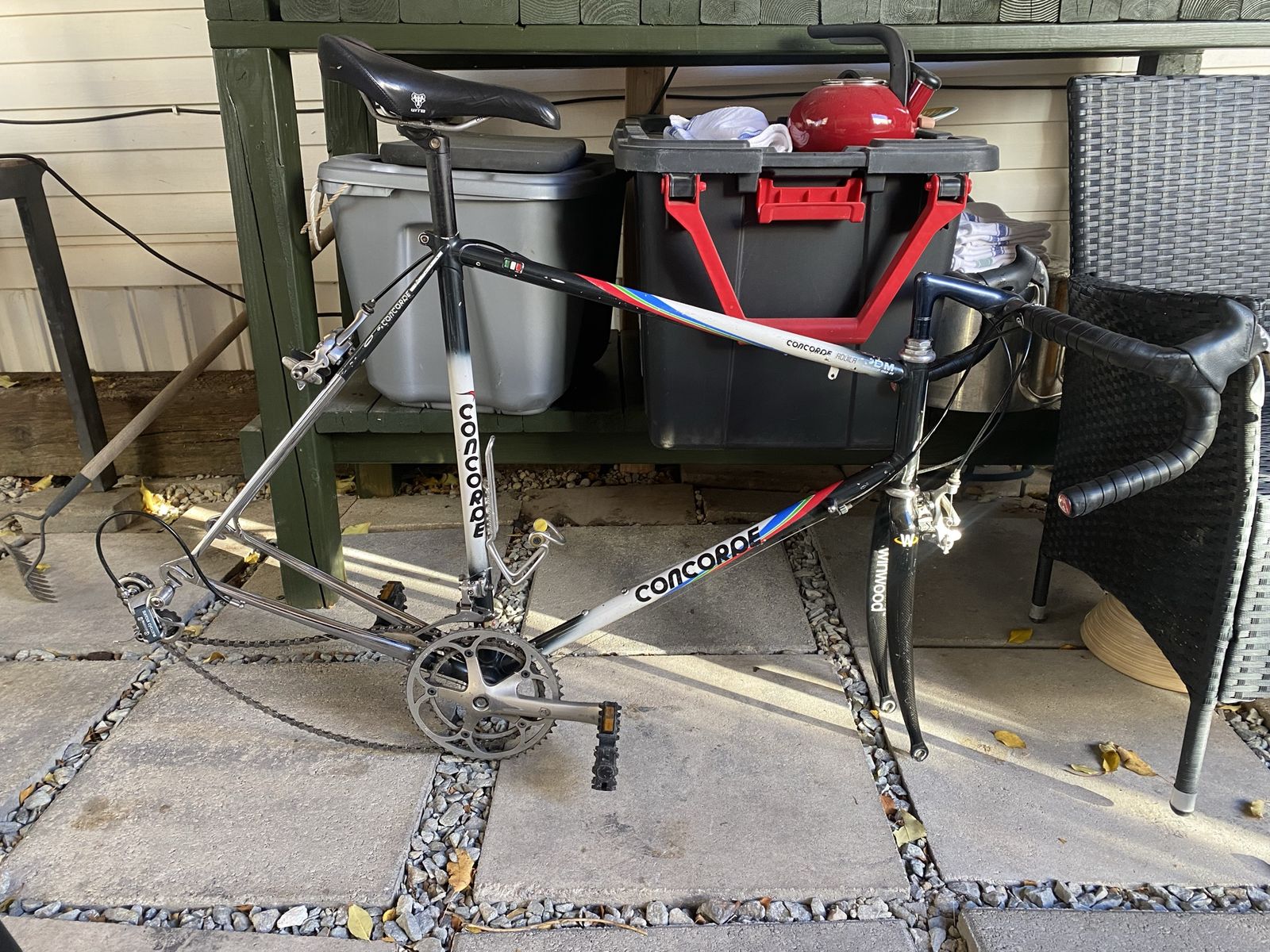 Concorde team racing frameset only . No components 
