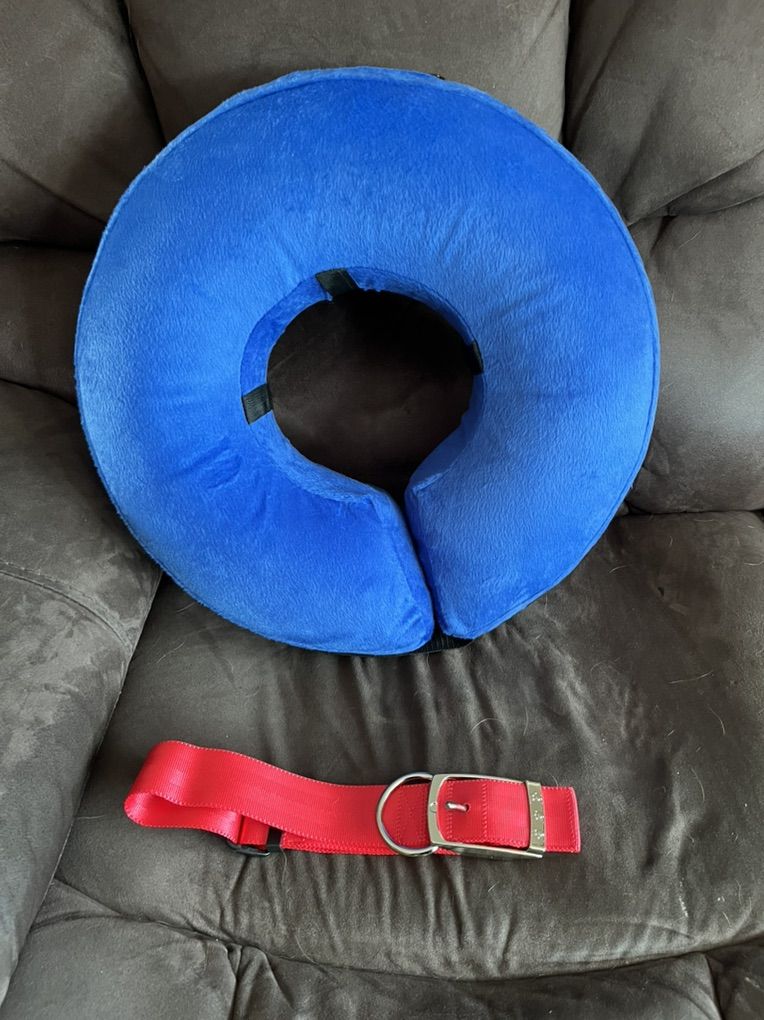 Dog Inflatable Pet Collar