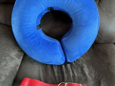 Dog Inflatable Pet Collar