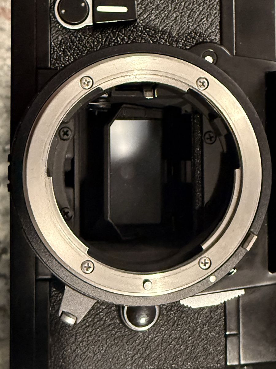 Main image 5