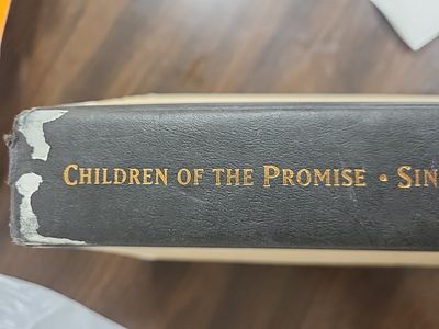 Vintage Book Childern of the Promise