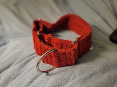 red velvet dog collar