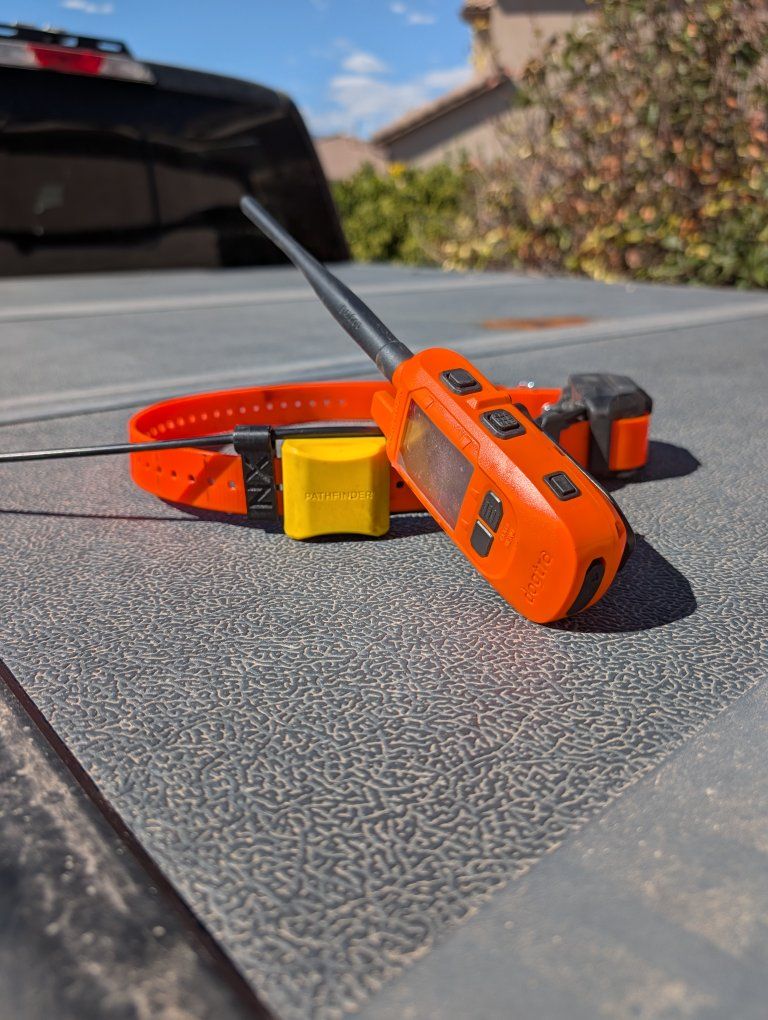 dogtra pathfinder 2
