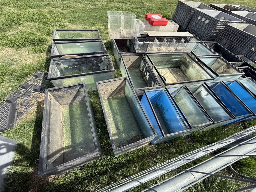 Fish Room Fish Tanks