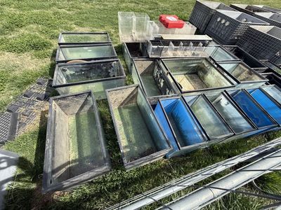 Fish Room Fish Tanks