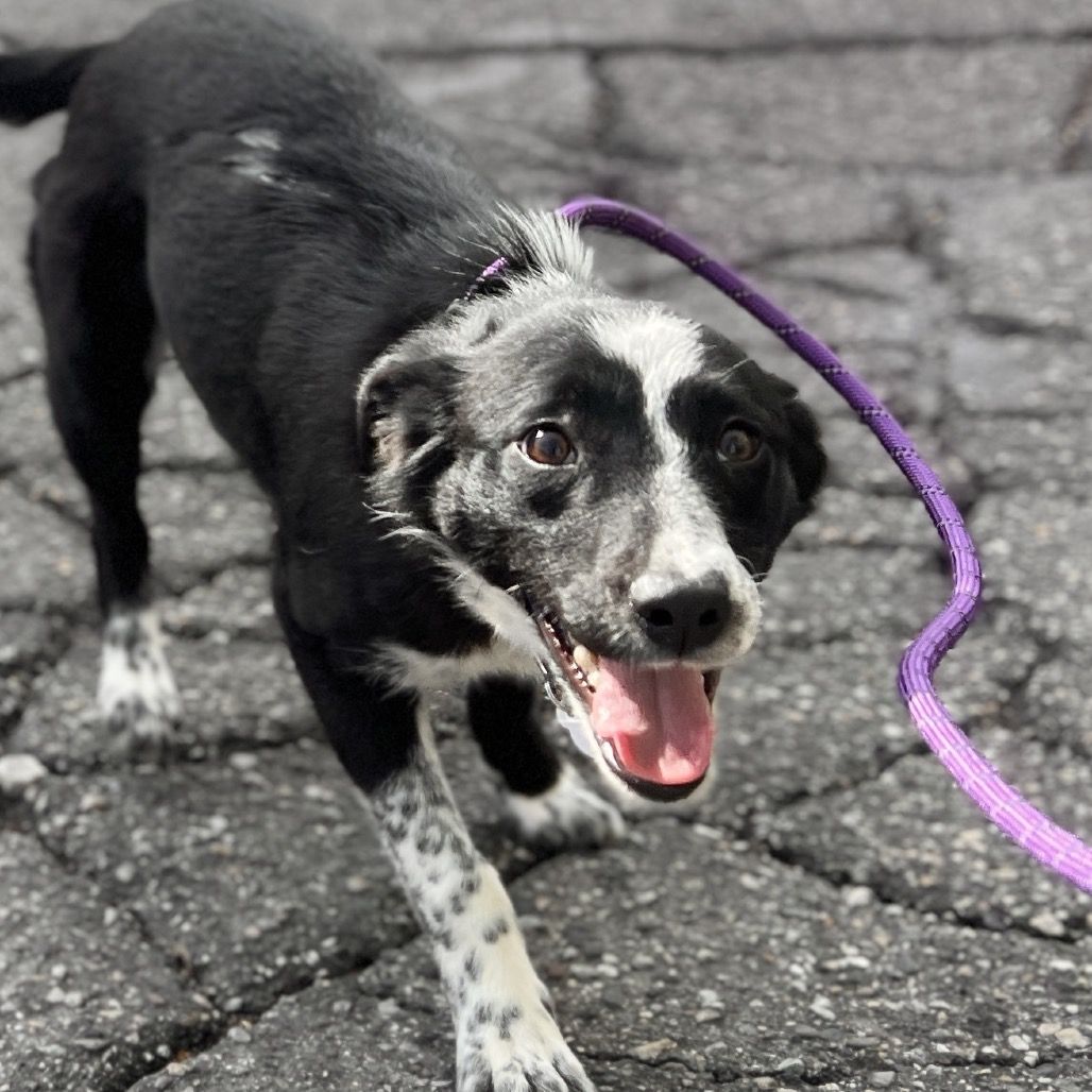 Hello my name is Casey