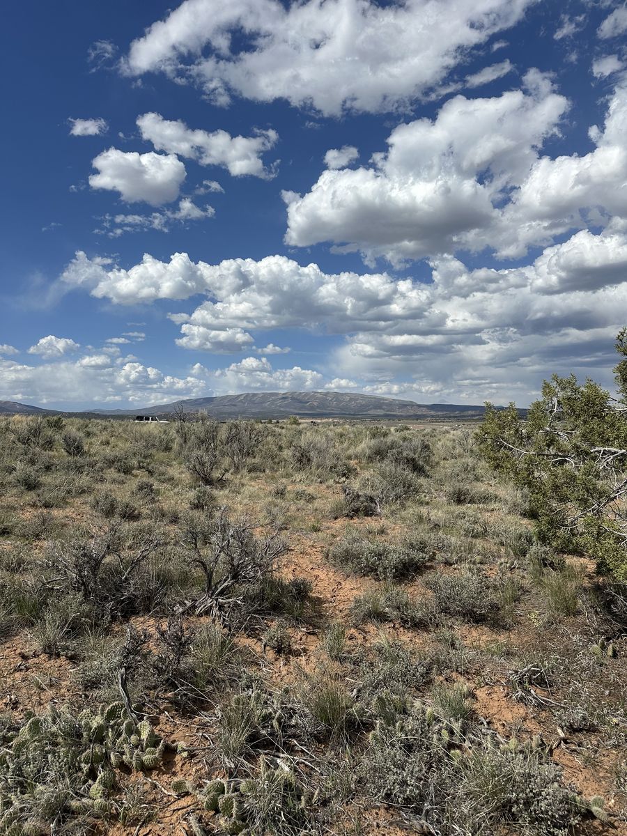 Main image 6